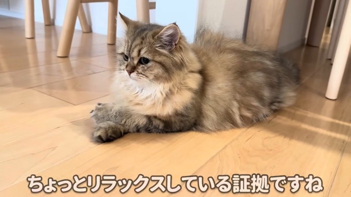 慣れてリラックスのリソラちゃん