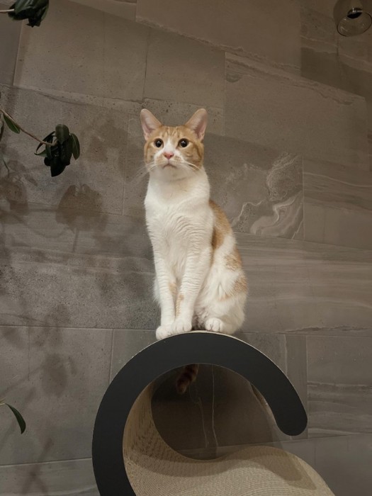 成長したノニちゃん