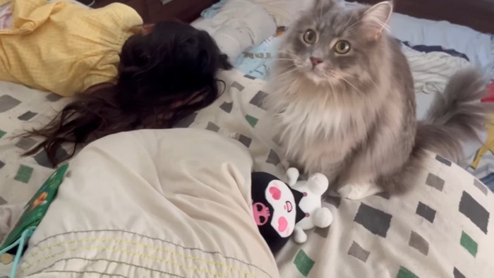 見上げるクウちゃん