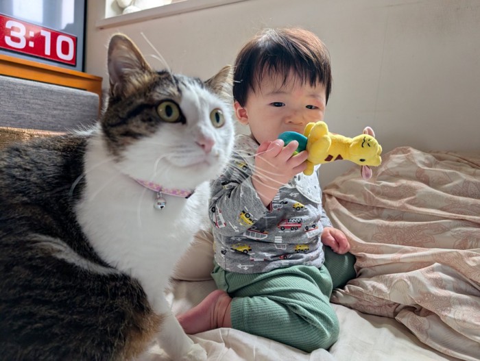 赤ちゃんと隣に座る猫