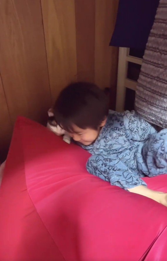 ベッドから落ちた男の子と猫