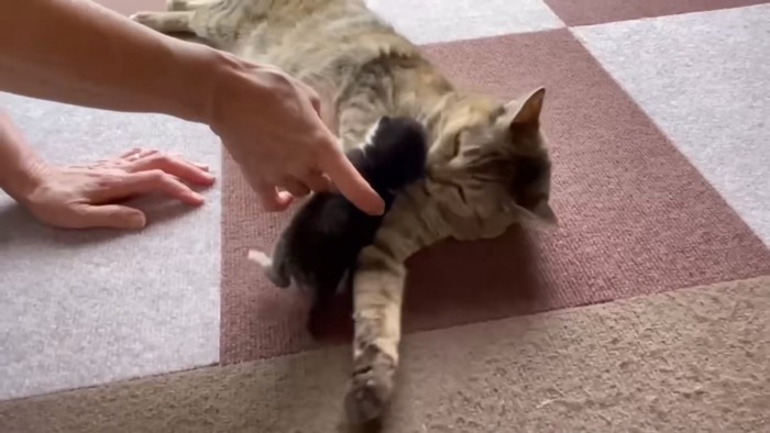 ケンタくんをなずなちゃんに渡す園長さん