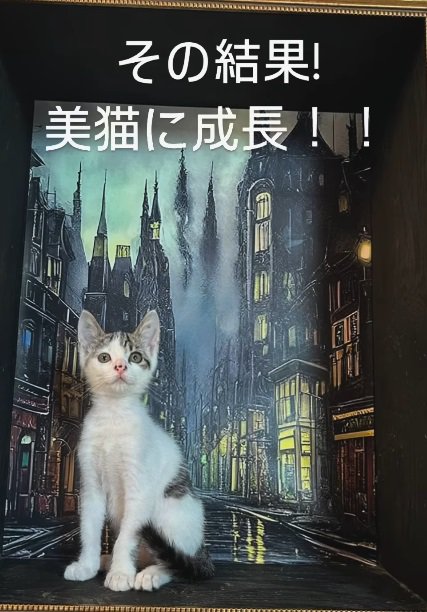 絵画を背景にカメラ目線の猫