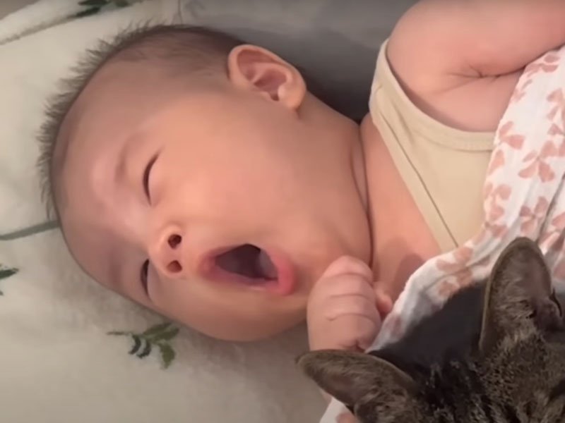 あくびする赤ちゃん