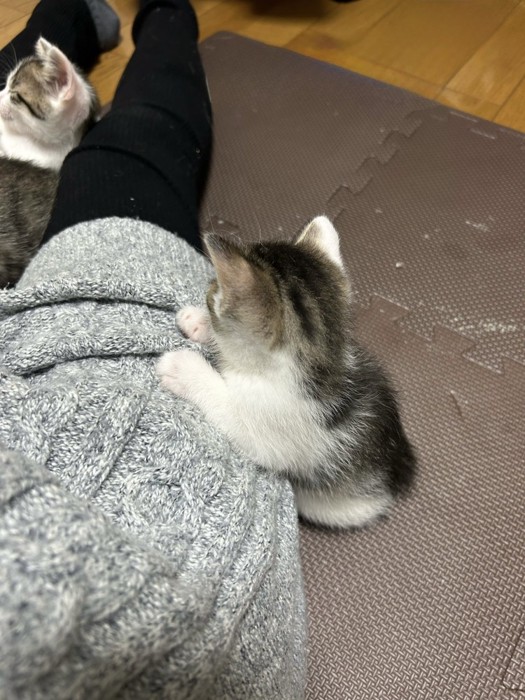 ギュッと服を掴むへそくん