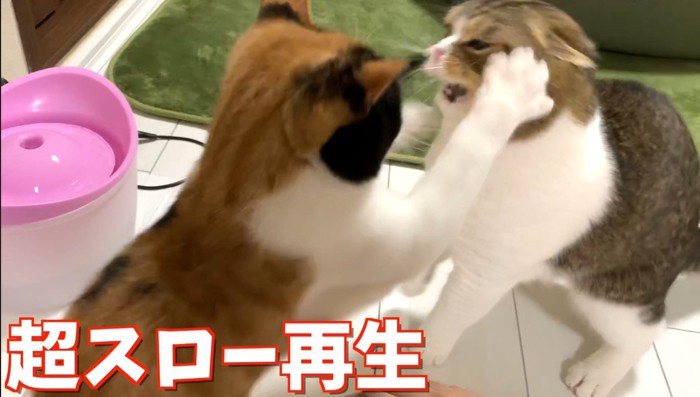 超スロー再生右パンチ