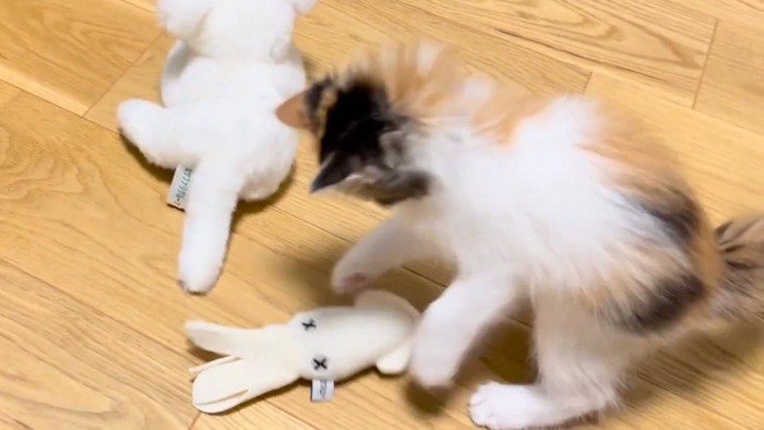 イカを叩くうなぎちゃん