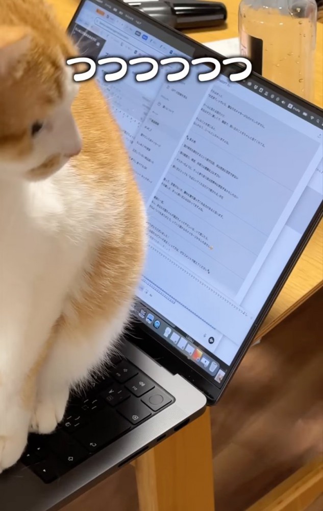 足下のキーボード