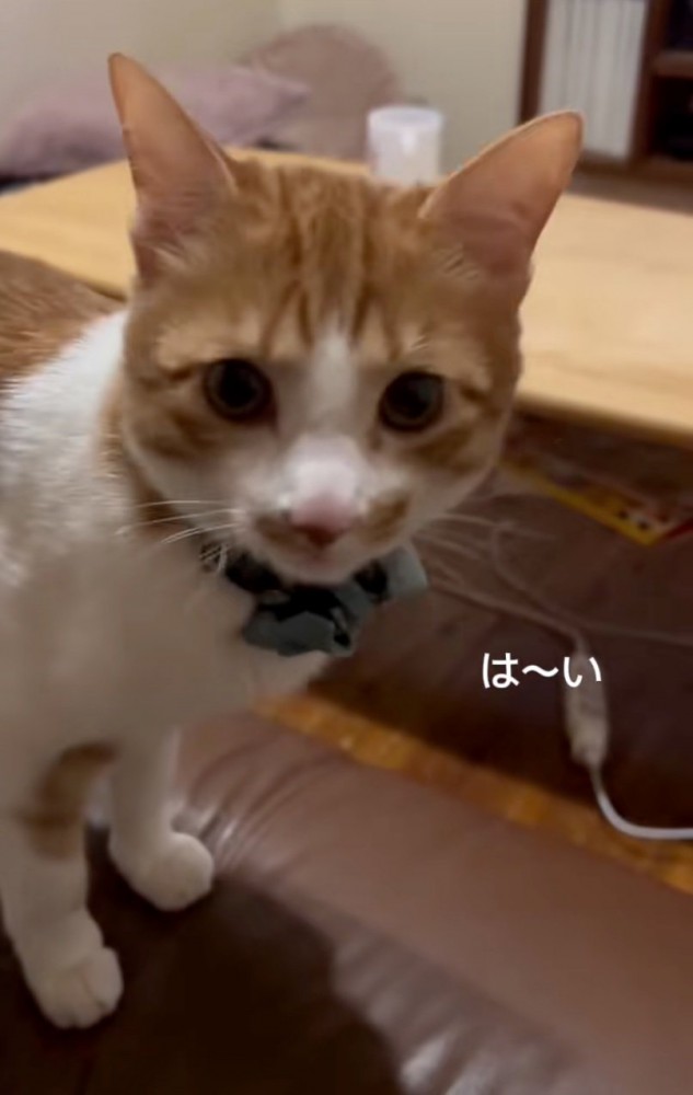 近寄りながらお返事