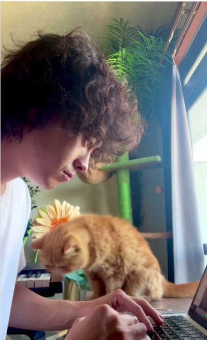 人の作業を見守っている猫