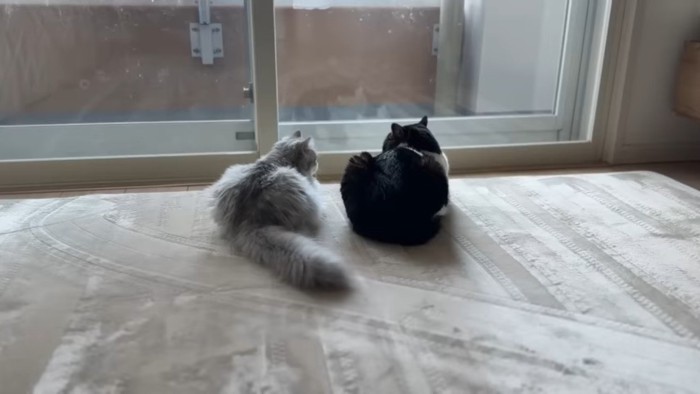 ふたりの後ろ姿