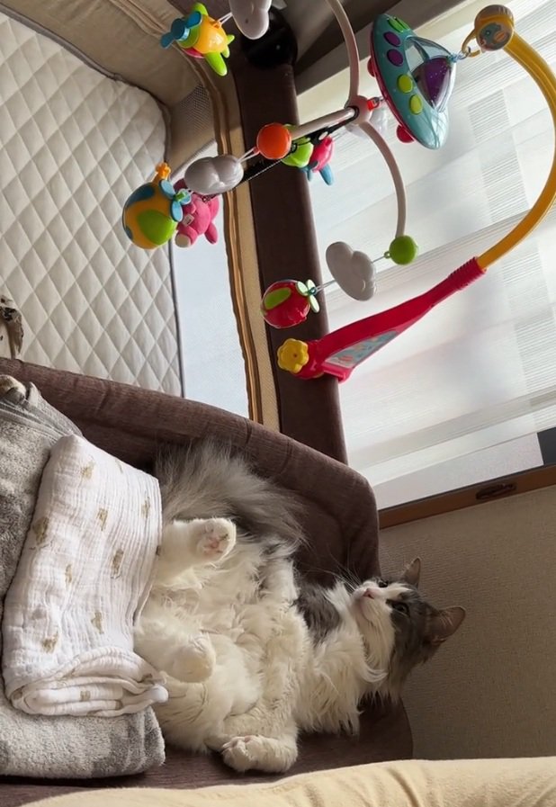 おもちゃを見るサチちゃん