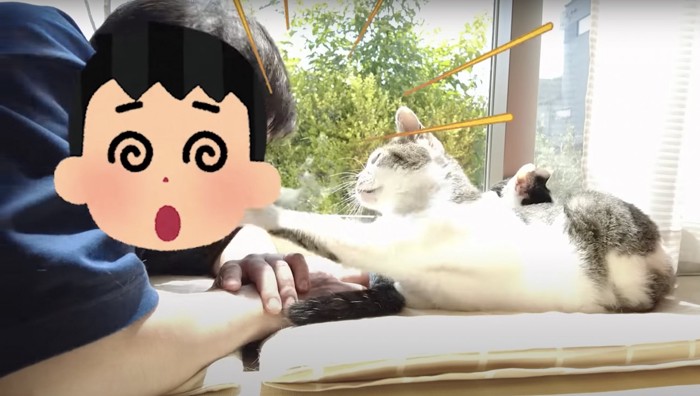 猫の前足が男性に当たる