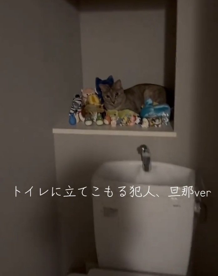トイレに立てこもるルナちゃん