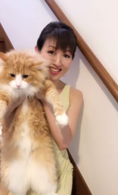 飼い主に上半身を抱えられているノルウェージャンフォレストキャット