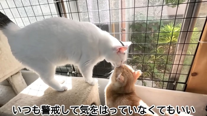 テロップ「いつも警戒して~」