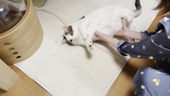 ママさんがコロコロ