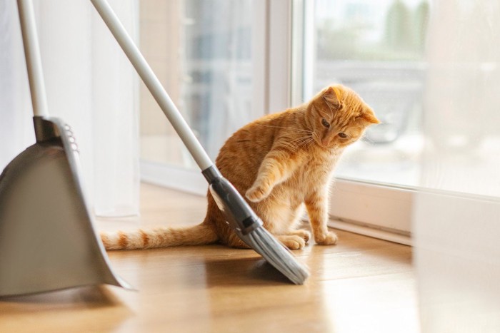 掃除機と猫