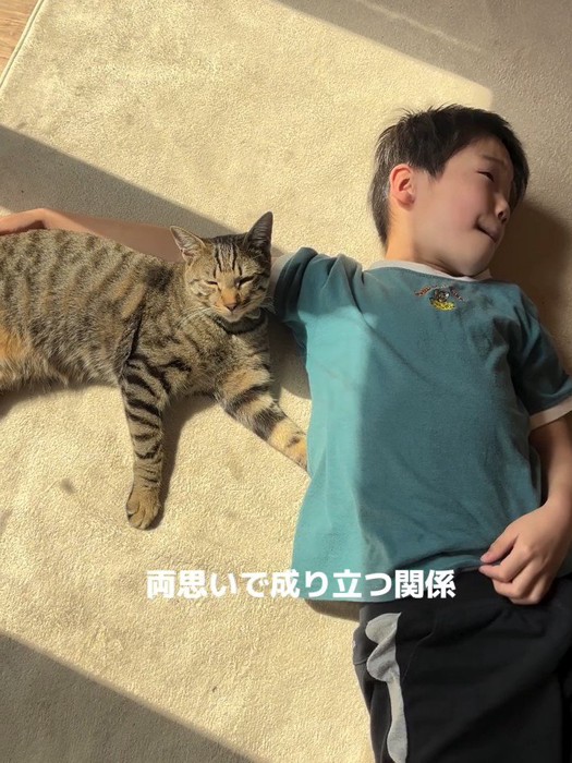寄り添って寝そべる男の子と猫