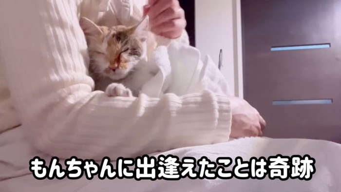 テロップ「もんちゃんに～」