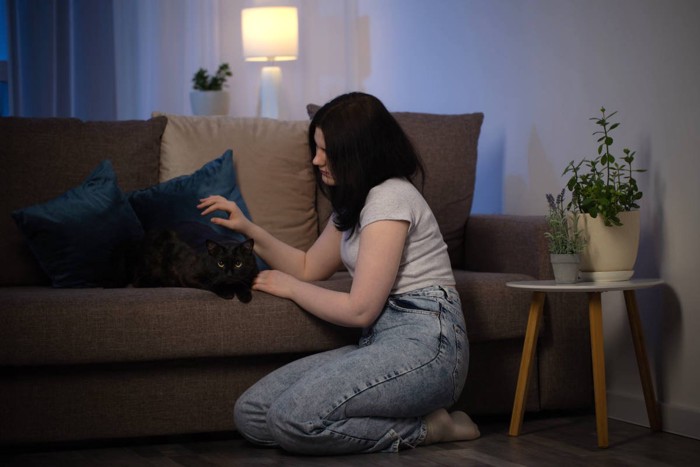 女性とソファの黒猫