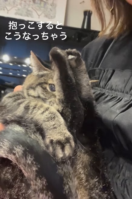 猫を抱っこする人と足を上げる猫
