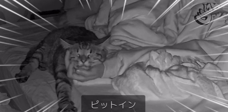 寝ている飼い主と猫