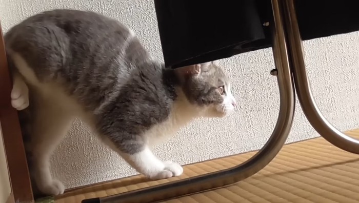 片足を柱に押しつけて