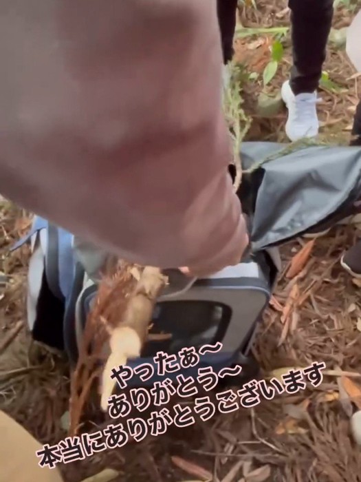 キャリーの周りに集まる人