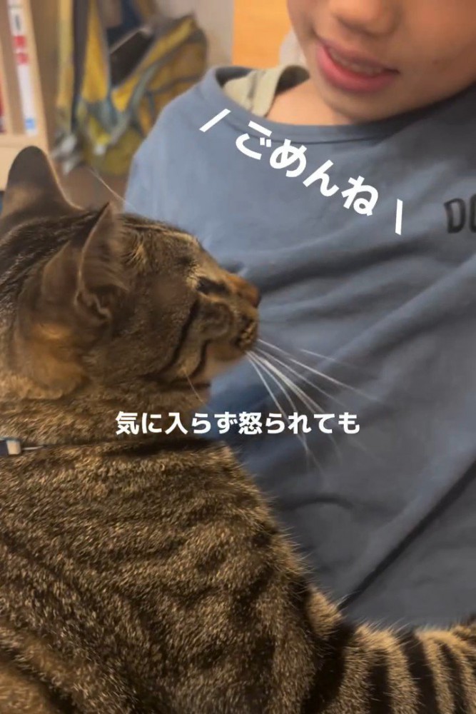 猫に謝る男の子