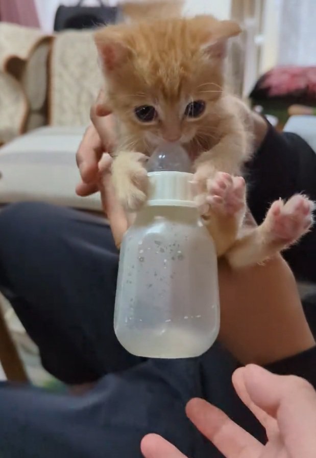 抱っこされるチャッピーくん