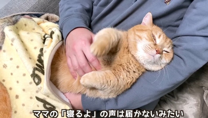 眠るプリンちゃん