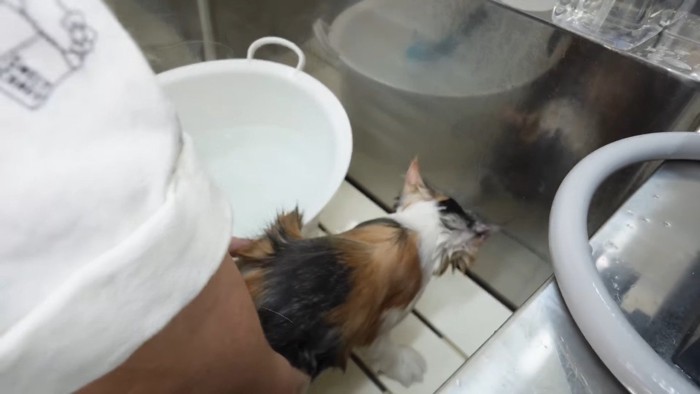 桶の外へ