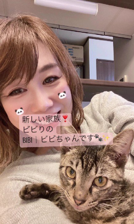 飼い主に抱かれる猫