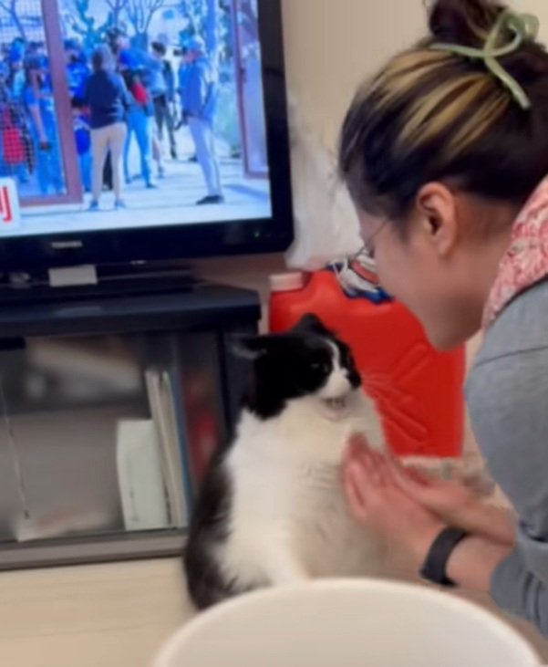 攻められるオレオくん