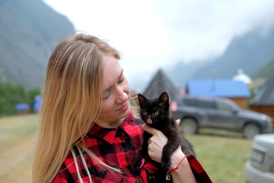 女性に抱かれる黒猫