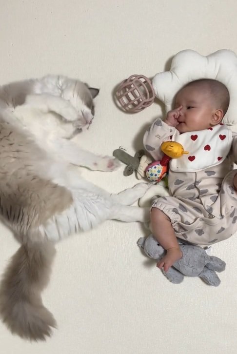 寝転がっている赤ちゃんと猫