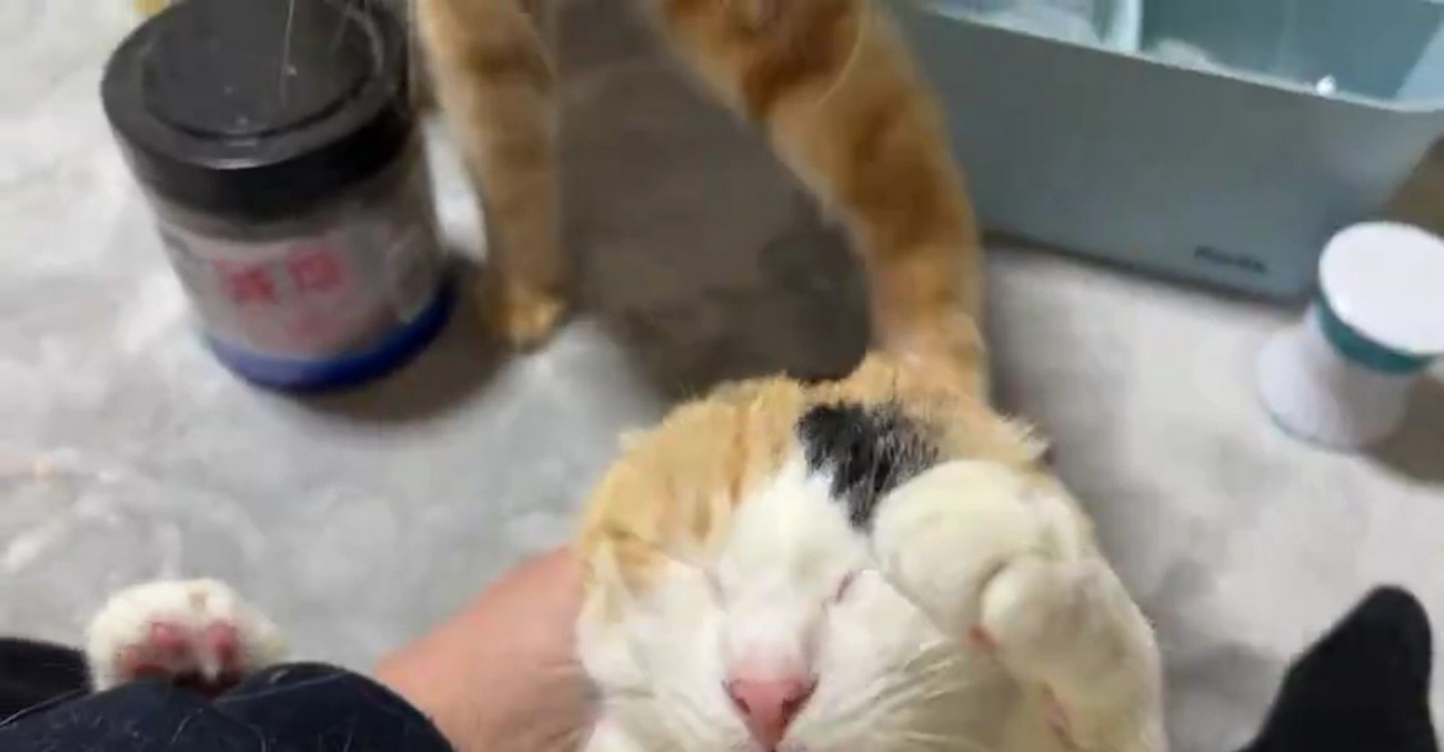 翡文くんと釿汰くんの足