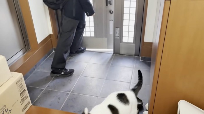 ドアを空ける息子さんと白黒猫ちゃんの背中