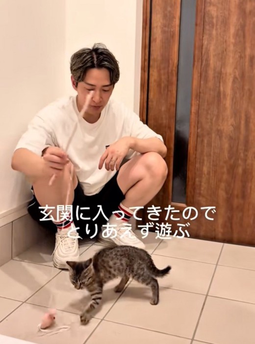 玄関で遊ぶ猫と男性