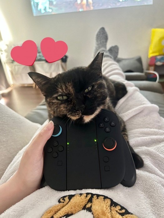 コントローラーに顎を乗せる猫
