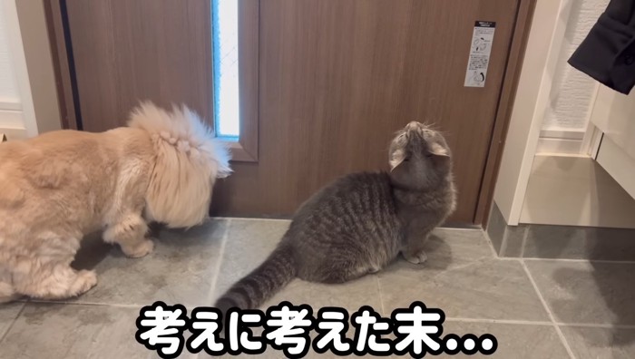 考えに考えた末…