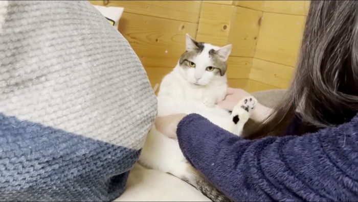 女の子に体を支えられて端に移動させられる猫