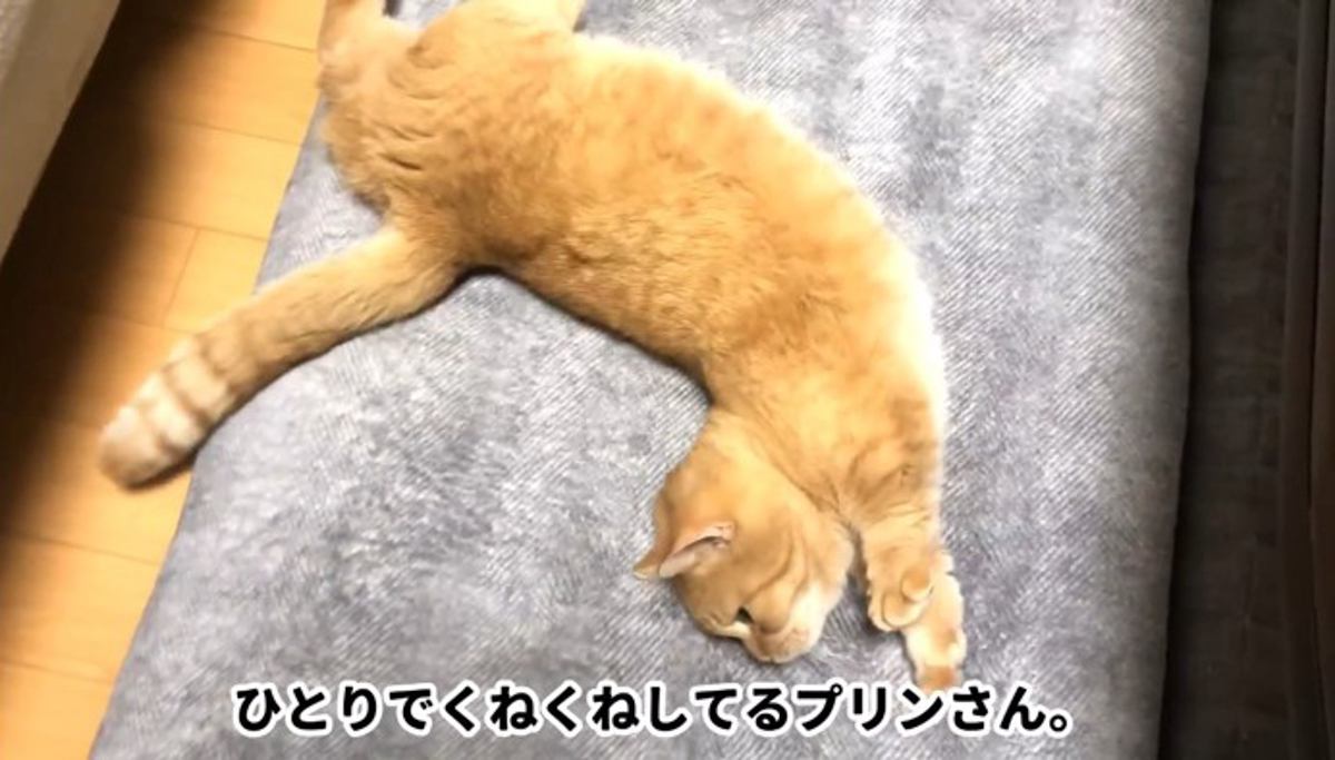 ひとりでくねくね