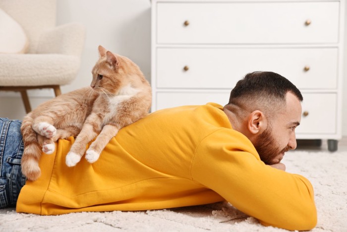 男性の背中に乗る猫