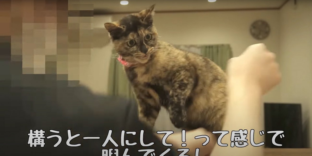 腕を睨むたっちゃん