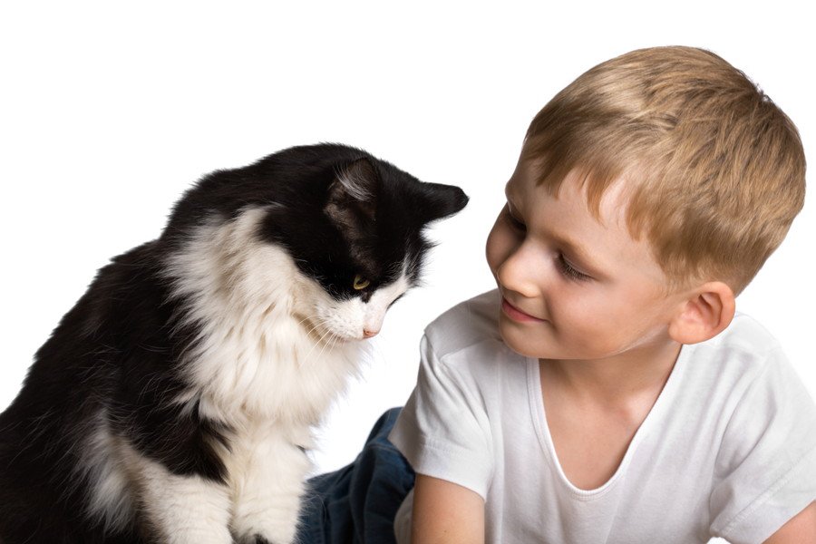 少年と白黒猫