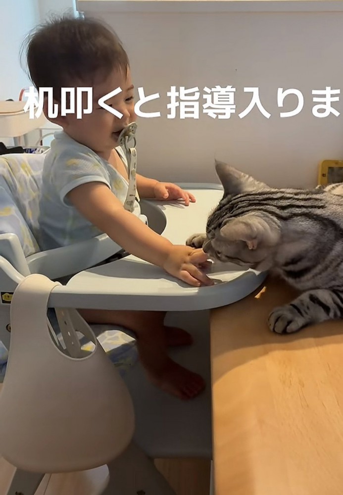 赤ちゃんと猫の写真7