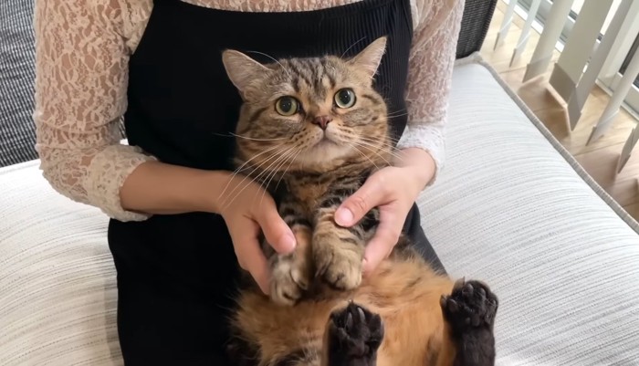 捕まったメルくん