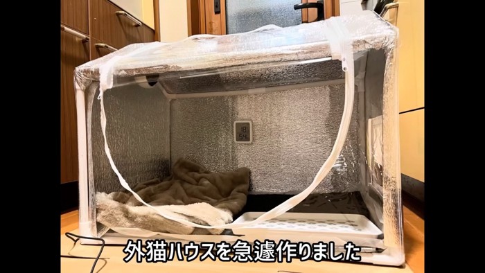 外猫ハウス